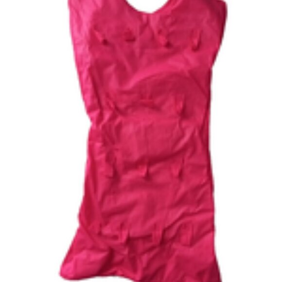 Pink Dress-Shaped Hanging Jewelry Organizer w/ Pockets & Straps – Closet Storage - Picture 2 of 2